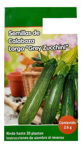 Semillas De Calabaza Larga Grey Zucchini 