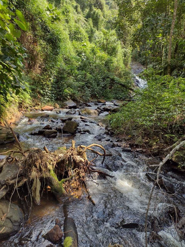 Imagem 11 de 12 de Terreno Em Miracatu-sp Medindo 8 Alqueires Com Cachoeira
