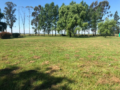 Vivani Propiedades Vende Lote De 2800m2 Haras De Sur 1