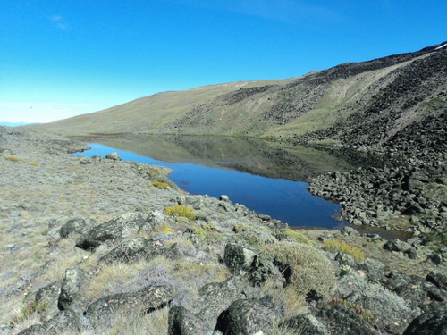 Venta Calafate Sta Cruz  Campo 10.040 Hectáreas 