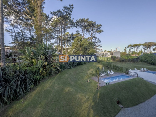 Imagen 12 de 19 de Apartamento A La Venta