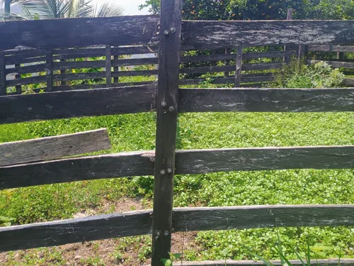 Finca Multipropósito En Minasal Yacopi Cundinamarca