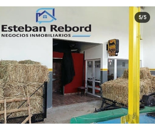 Imagen 5 de 6 de Se Vende Campo Con Galpón