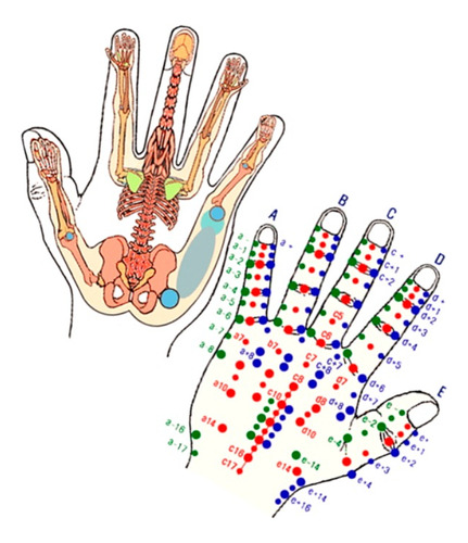 Seminario De Koryo Sooki Chim, Acupuntura De Mano (+12hs)