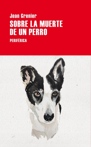 Libro Sobre La Muerte De Un Perro