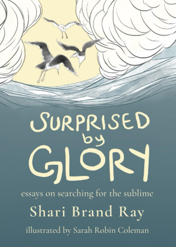 Livro: Surprised By Glory: Essays On Searching For The Sublime