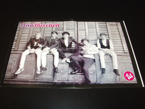 Poster One Direction * 40 X 27 (j052)