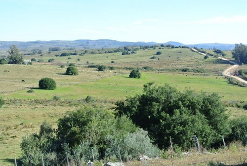 Quinta En Venta De 4 Dormitorios En Sierra De Caracoles