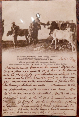 Postal Mensaje Galante Caperucita 1918 Viel 674 Caballito 