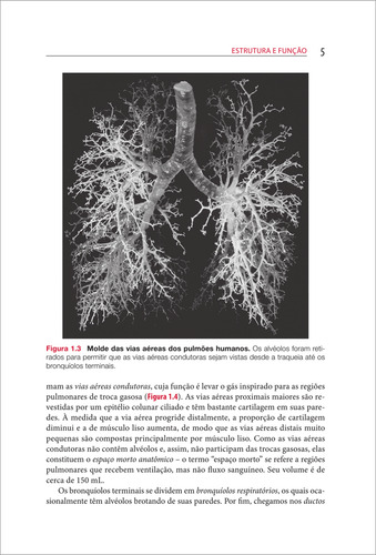Fisiologia Respiratória De West: Principios Básicos, De John B. West,andrew M. Luks. Editorial Artmed, Edição 11 Em Português