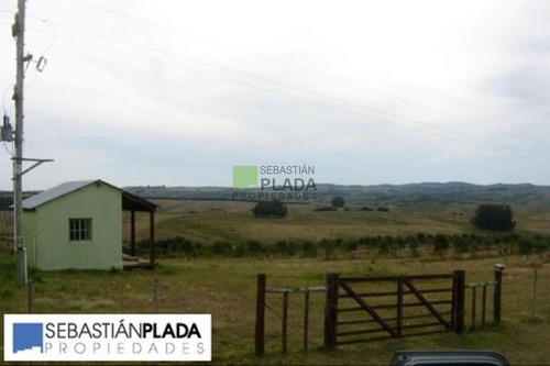Imagen 6 de 9 de Campo - Pueblo Eden