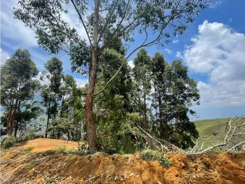 Venta Lotes En Proyecto Via San Cristobal A 10 Minutos Del Exito