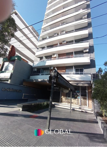 Imagen 9 de 12 de Departamento - Zona Mate De Luna