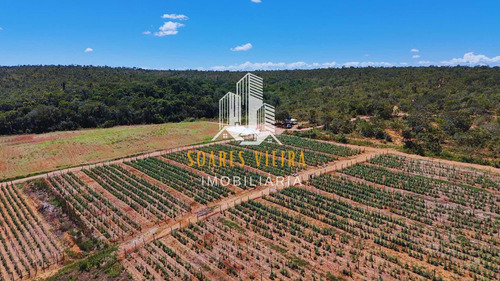 Fazenda Com 685 Hectares À Venda Em Jequitiba / Cordisburgo