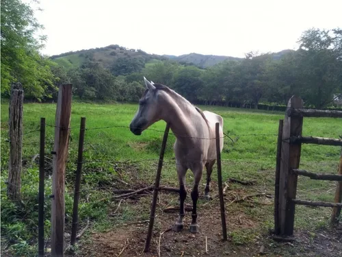Vendo Lotes En Utica