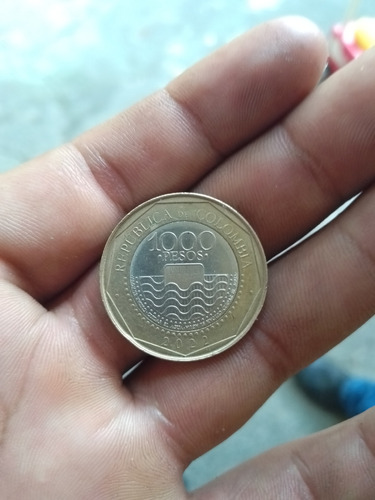 Moneda Colombiana De La Tortuga Caguama De $1000