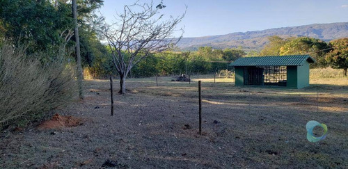 Imagem 4 de 7 de Terreno À Venda, 1340 M² Por R$ 139.000,00 - Zona Rual - Delfinópolis/mg - Te1515