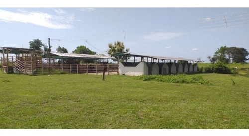 Imagen 18 de 30 de Finca Y Centro Turístico Linda Barinas En Venta