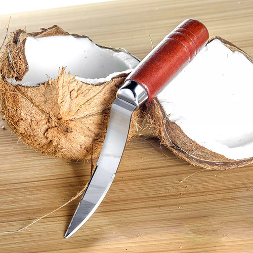 Raspador De Acero Inoxidable Para Quitar La Carne De Coco, M