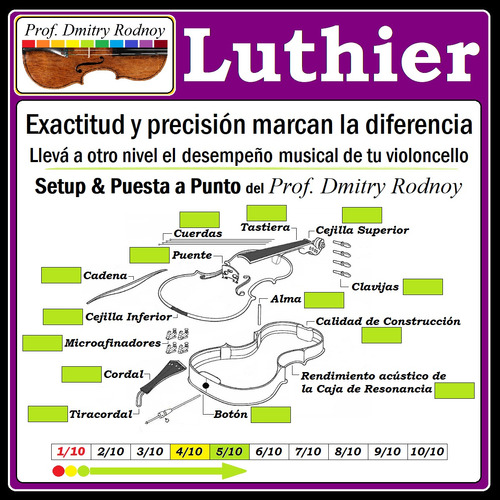 Violoncello Setup & Puesta A Punto X Luthier Prof. D. Rodnoy