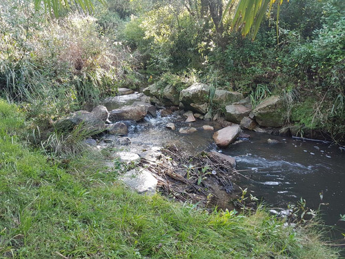 Imagen 3 de 11 de Campo Forestal - Ganadero. 200 Has Con Posada Y Arroyo.