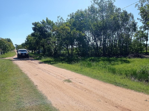 Imagen 2 de 6 de Terreno - Gualeguaychu