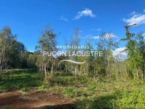 Parcela Sector Pte Luengo Caburga (agua/luz) (170307)