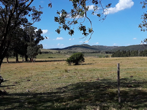 Venta De Campo Aguas Blancas, Minas,casa De 2 Dorm