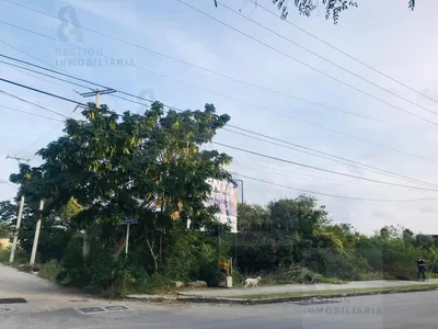 Terreno en renta
