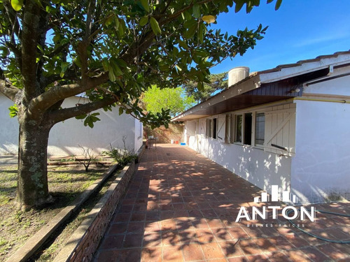 Casa En Alquiler Temporario - 3 Ambientes - Villa Gesell - Anton Bienes Raices - Arturito