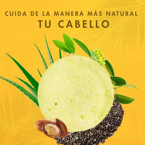 Shampoo Sólido Árbol Verde Reparador Jojoba Y Argán 50g
