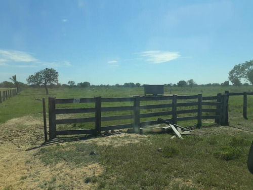 Imagem 13 de 28 de Fazenda À Venda, 3.106 Ha Por R$ 30.000.000 - Zona Rural - Cocalinho/mt - Fa0002