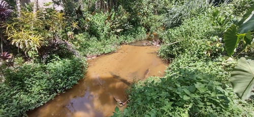 Imagem 8 de 18 de Miracatu /bela Chácara Plana C/riacho/só R$ 90 Mil/oportunidade/ref:05367