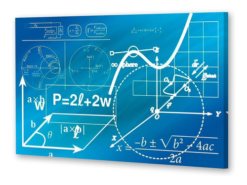 Cuadro 20x30cm Leyes Matematicas Formula Fisica P3