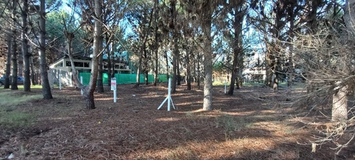 Imagen 3 de 7 de Venta. Lote En Paseo Del Bosque Von Todos Los Servicios