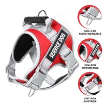 Comprar Pechera Para Perros De Raza Pequeña S Rojo Y+gift Miniagenda