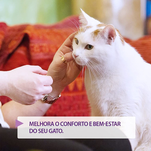 Feliway Friends Difusor Refil 48ml Bem Estar Feromonio Gato