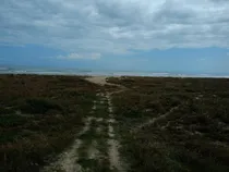 Comprar Venta Terreno 50 Hectareas Frente Playa Tamiahua Veracruz