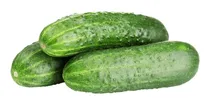 Comprar Semillas Pepino Baby - Semillas - Calidad Premium -