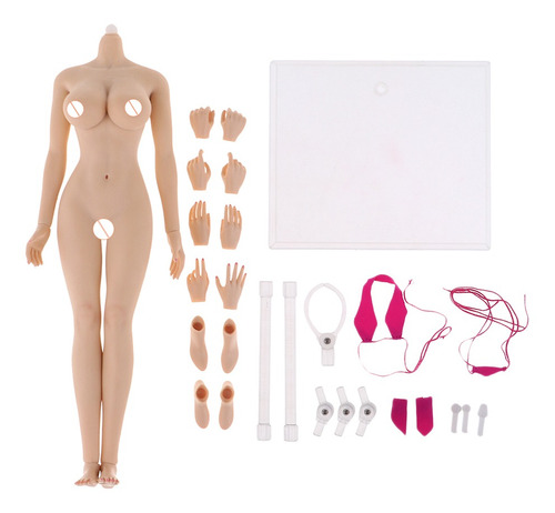 Imagen 4 de 6 de 2 Pcs 1/6 Escala Cuerpos De Mujer Modelo Juguete Para