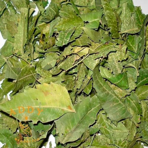 Hojas De Neem -  1/2 Kilo