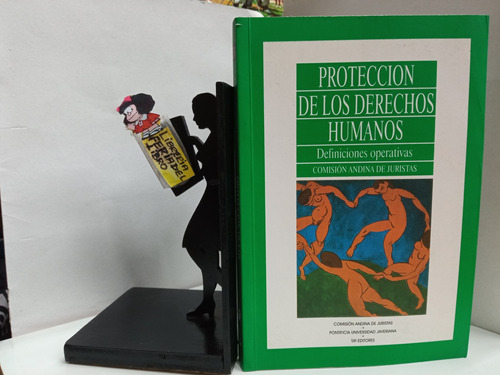 Protección De Los Derechos Humanos Definiciones Operativas