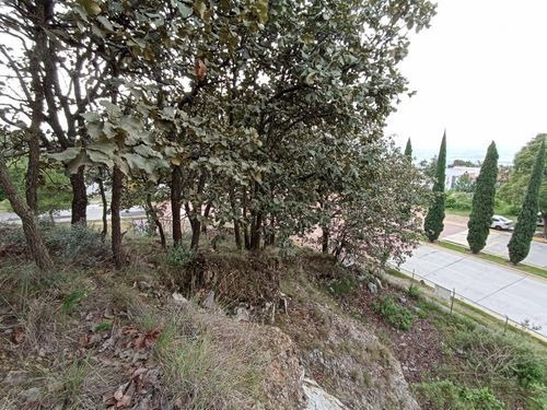 Imagen 6 de 7 de Terreno En Venta En El Palomar