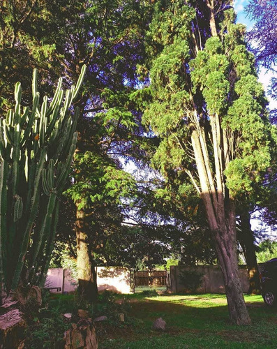 Imagen 9 de 25 de Alquiler Casa Quinta-zona Berazategui