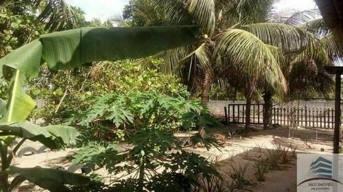 Imagem 7 de 7 de Granja A Venda Em Macaíba