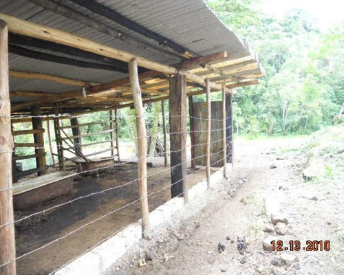 Imagem 15 de 30 de Fazenda Em Juquitiba; Fazenda À Venda Em Juquitiba Sp - 241 - 32982716