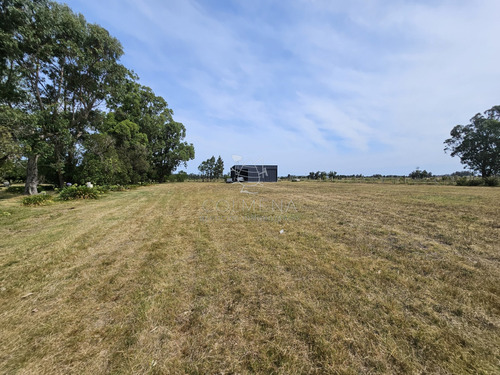 Venta Chacra Con Casa En Ruta 104 Manantiales