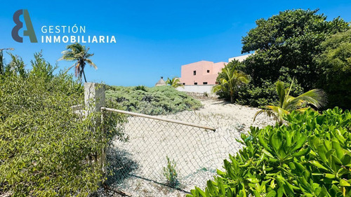 Terreno En Venta En Progreso, Yucatan. Mtv315.