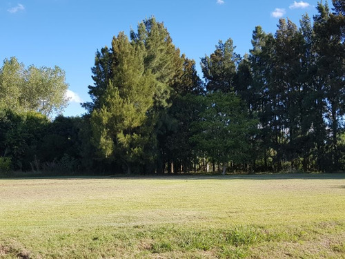 Soñado Lote En Venta Zona Residencial Servicios