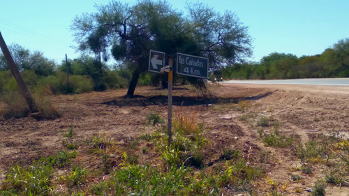 Villa De Soto Campo De 45 Has En Paraje Las Cañadas